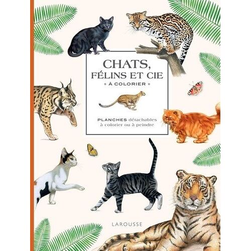 Chats, Félins Et Cie À Colorier - Planches Détachables À Colorier Ou À Peindre