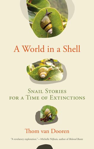 A World In A Shell