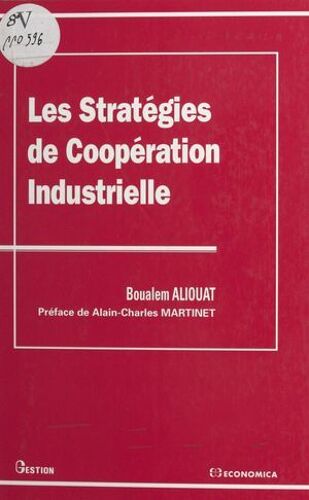 Les Stratégies De Coopération Industrielle