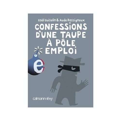Confessions D'une Taupe À Pôle Emploi