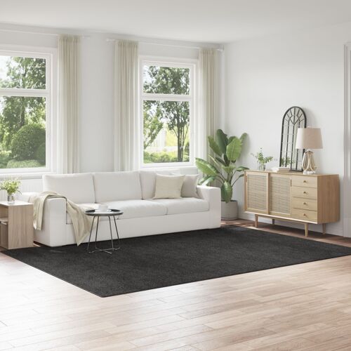 Tapis Shaggy Vidaxl Avec Fond En Latex Gris Foncé 240x340 Cm
