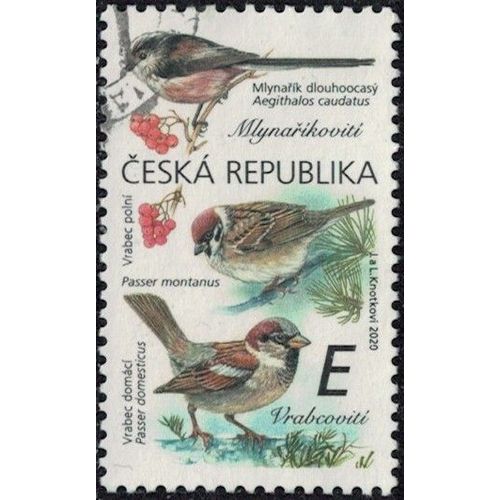 République Tchèque 2020 Oblitéré Used Oiseaux Aegithalidae Et Passeridae Y&t Cz 955 Su