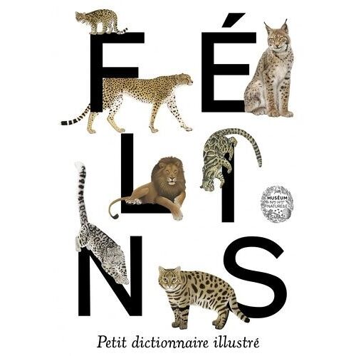 Félins - Petit Dictionnaire Illustré