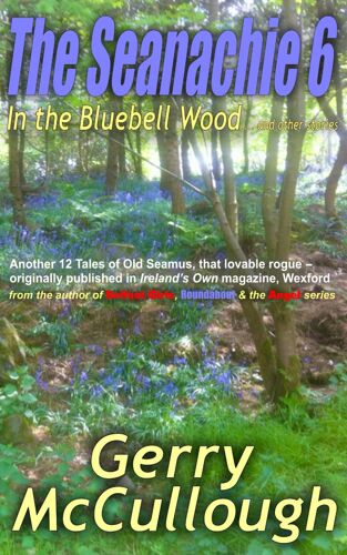 The Seanachie 6: In The Bluebell Wood ... And Other Stories (Tales Of Old Seamus Series)