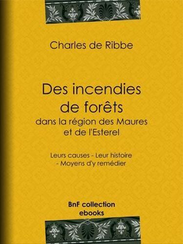 Des Incendies De Forêts Dans La Région Des Maures Et De L'esterel (Provence)