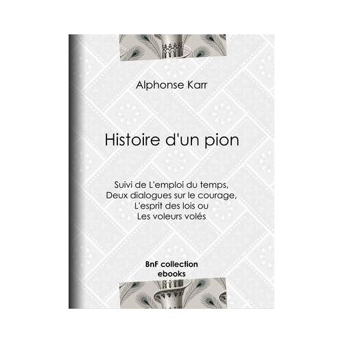 Histoire D'un Pion