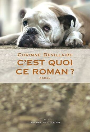 C'est Quoi Ce Roman ?