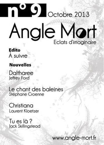 Angle Mort Numéro 9