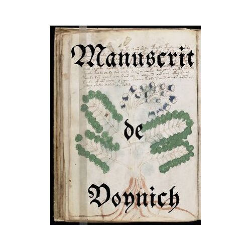 Manuscrit De Voynich