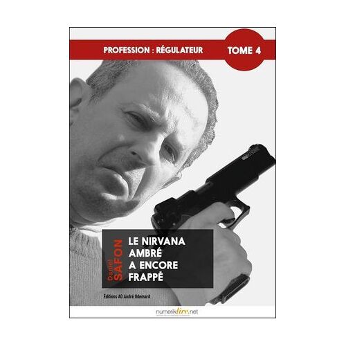 Profession : Régulateur, Tome 4