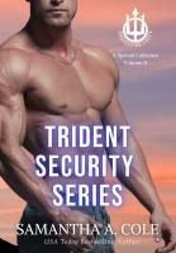 Trident Security Series
