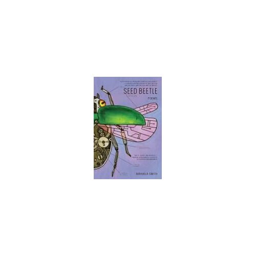 Seed Beetle