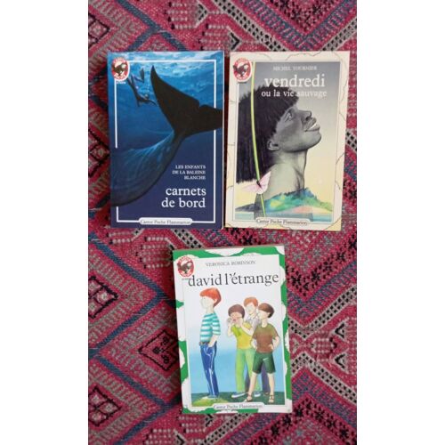 Lot De 3 Castor Poche Junior Flammarion : David L'étrange De Veronica Robinson+ Carnets De Bord, Les Enfants De La Baleine Blanche+ Vendredi Ou La Vie Sauvage De Michel Tournier. Très Bon État.