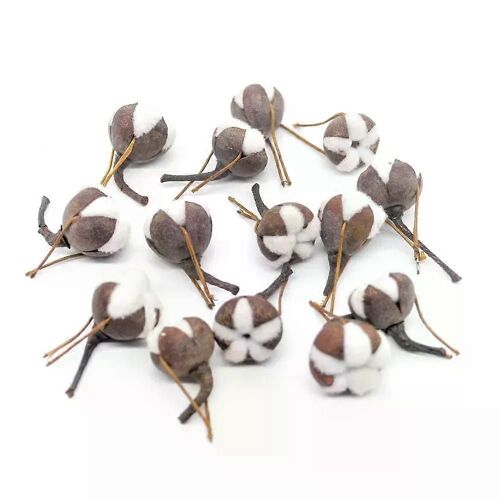 Exquisite 10/20pcs Artificial Kapok Natural Dried Flowers Simulation Cotton Wedding Room Easter Decor Supplies DIY Wreath Bouquet Gift Box
