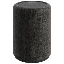 Audio Pro G10 - Haut-parleur intelligent - Bluetooth, IEEE 802.11b/g/n/ac - Contrôlé par application - 2 voies - gris foncé