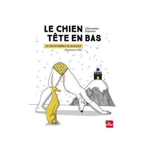 Le Chien Tête En Bas 45 Histoires D'asanas