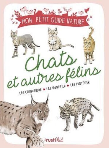 Chats Et Autres Félins