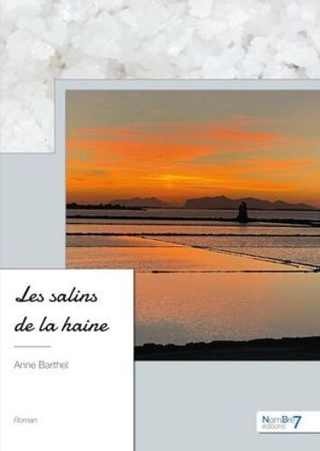 Les Salins De La Haine