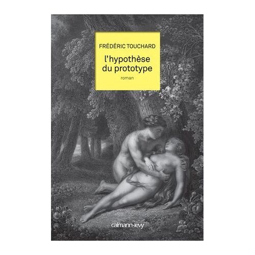 L'hypothèse Du Prototype