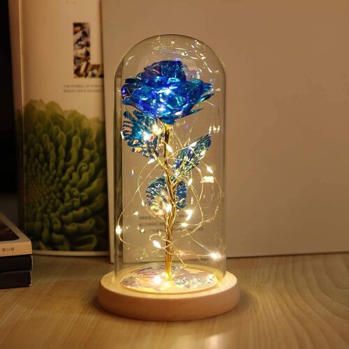 Rose Enchantée De La Belle Et La Bête Avec Lumière Led Dans Une Cloche En Verre Goodnice