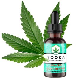 Huile Menthe Cbd Bio Mct 20% Full Spectrum 10ml 