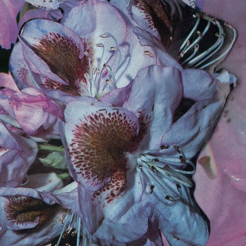 Teresa Winter - Proserpine [Vinyl Lp]