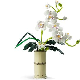 Blocs De Construction De Bouquet De Fleurs, Kit De Plantes En Pot Phalaenopsis, Plantes En Pot, Plante Adulte Goodnice
