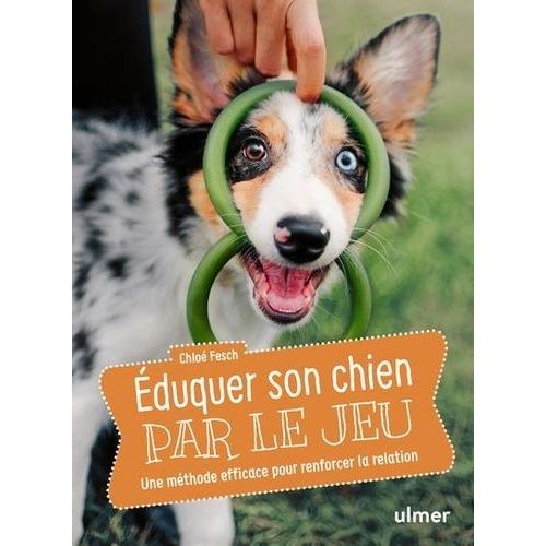 Eduquer Son Chien Par Le Jeu - Une Méthode Efficace Pour Renforcer La Relation