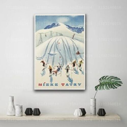 Affiche en toile Affiche de ski d¿¿corative pl,mpression murale Poster pour salon chambre ¿¿ coucher d¿¿cor sans cadre(30*40cm)