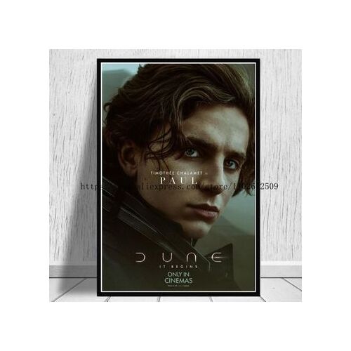 Timoth¿¿e Chalamet Toile Affiche Toile Affiche,mpression murale Poster pour salon chambre ¿¿ coucher d¿¿cor sans cadre(30*40cm)