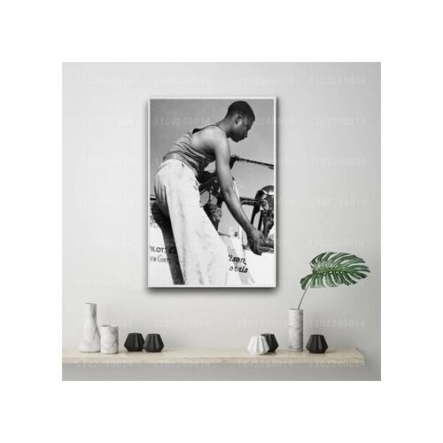 Affiche en toile d¿¿corative du film des aviateurs de Tuskegee,mpression murale Poster pour salon chambre ¿¿ coucher d¿¿cor sans cadre(30*40cm)