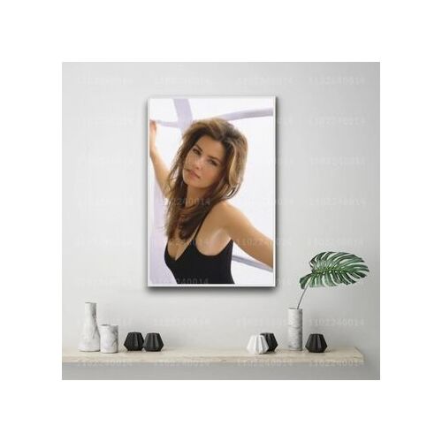 Affiche en toile d¿¿corative Shania Twain Singer,mpression murale Poster pour salon chambre ¿¿ coucher d¿¿cor sans cadre(30*40cm)