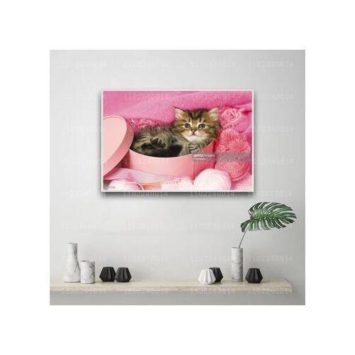 Affiche en toile d¿¿corative avec animaux Keith Kimbergen,mpression murale Poster pour salon chambre ¿¿ coucher d¿¿cor sans cadre(30*40cm)