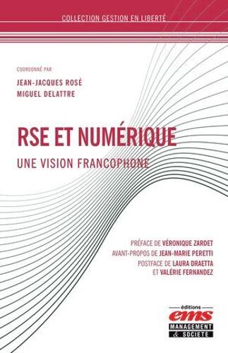 Rse Et Numérique