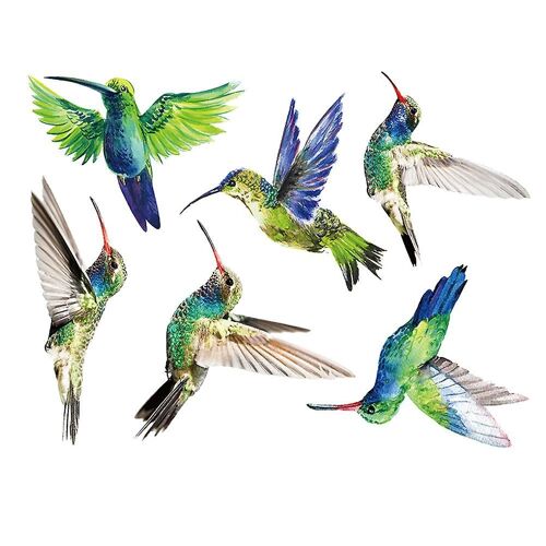 Autocollants colorés pour fenêtre en forme de colibri ¿ Autocollants anti-collision pour la décoration intérieure et la protection des oiseaux ¿ Lot de 6