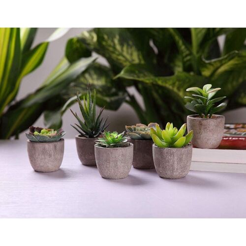 6 plantes succulentes artificielles en pots naturels : une décoration d'intérieur parfaite et un cadeau idéal pour toutes les occasions