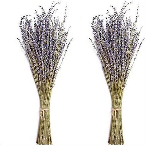 Bouquets de lavande séchée naturelle ¿ Fleurs de lavande 100 % pures pour la décoration intérieure, l'artisanat et le soulagement du stress