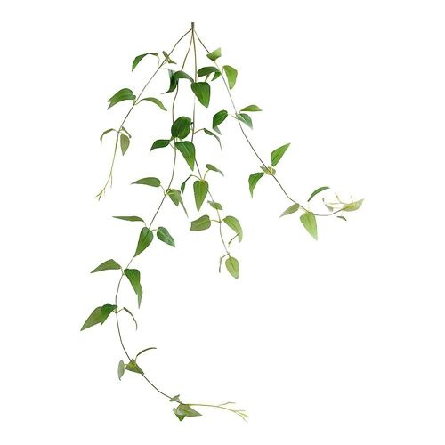 Guirlande de lierre et de clématite artificielles ¿ Plante décorative durable pour la maison et le jardin, aucun entretien requis