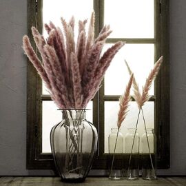 25 fleurs séchées naturelles et herbe de la pampa ¿ Décoration écologique pour la maison, les mariages et les occasions spéciales