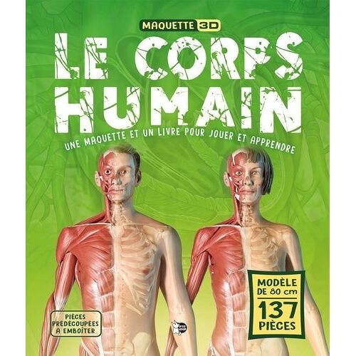 Le Corps Humain - Une Maquette Et Un Livre Pour Jouer Et Apprendre
