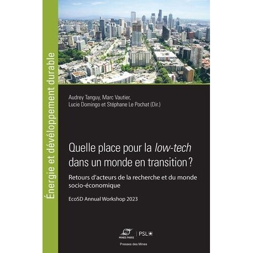 Quelle Place Pour La Low-Tech Dans Un Monde En Transition ? - Retours D'acteurs De La Recherche Et Du Monde Socio-Économique