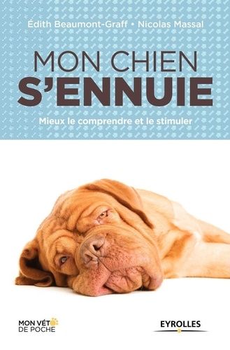Mon Chien S'ennuie - Mieux Le Comprendre Et Le Stimuler