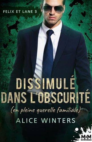 Felix Et Lane - Tome 3 - Dissimulé Dans L'obscurité (En Pleine Querelle Familiale)
