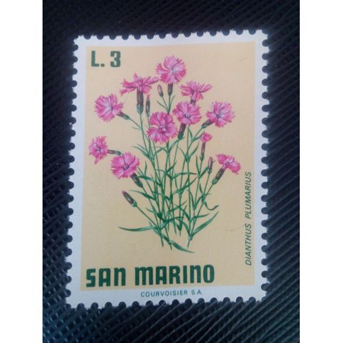 Timbre San Marin Y T 793 Rose Cottage (Dianthus Plumarius) 1971 ( 130308 )