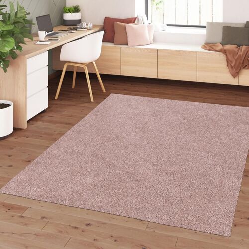 Tapis Salon Alegria Rose 120x120 Rond Fait En Europe En Polypropylène Doux Et Soyeux
