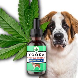 Huile Cbd Bio Pour Animaux De +20kg