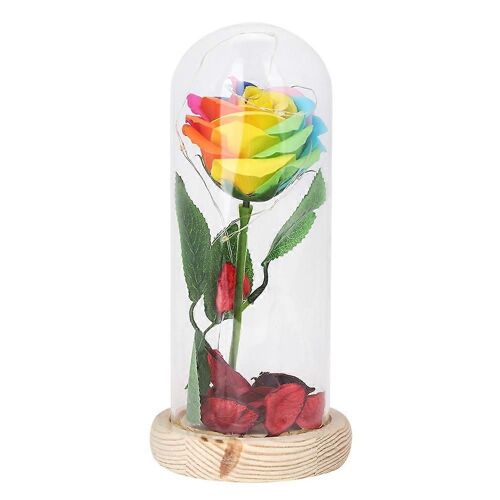 Rose Bureau Lampe Guirlande Lumineuse En Couverture Dôme Romantique Cadeau de Saint-Valentin (Coloré)