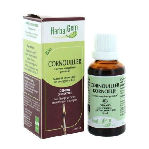 Herbalgem Macérat Concentré Cornouiller Bio 30ml 