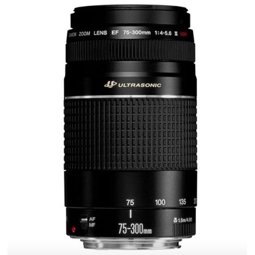 Objectif CANON EF 75-300MM F/4-5.6 III USM