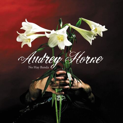 Audrey Horne – No Hay Banda